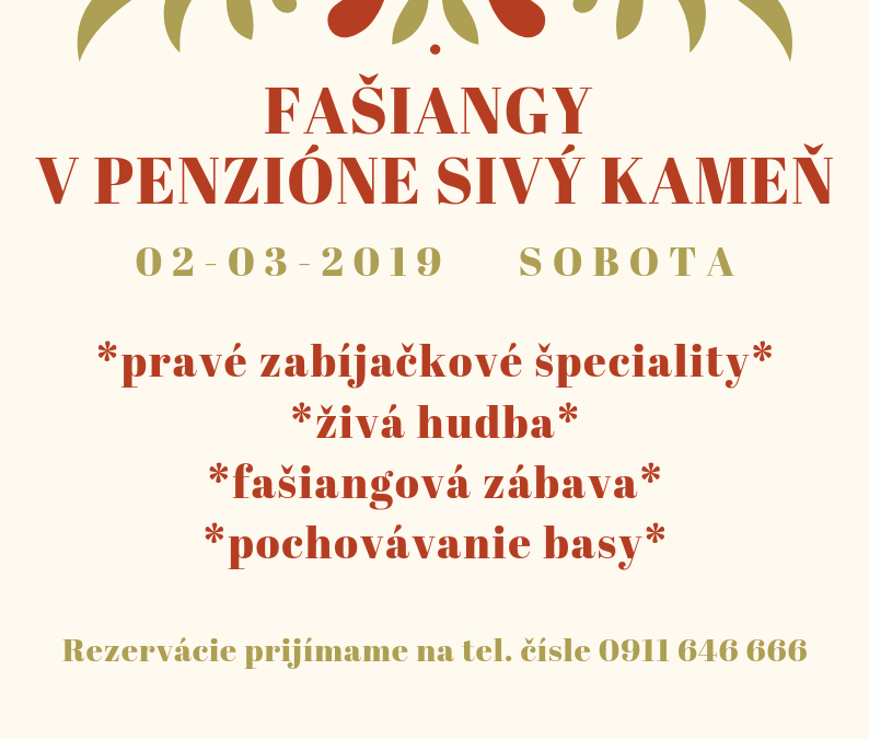 Fašiangy 2019 v Penzióne Sivý Kameň***